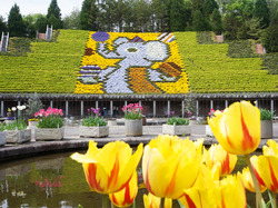 お弁当を持って「宇治市植物公園」に出かけよう！日本一を誇る立体花壇「花と水のタペストリー」が巨大すぎる。。