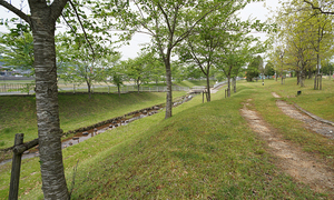 小川が流れる「須知川河川水辺公園」はキレイに整備され、お弁当を食べに少し寄り道するには最適。
