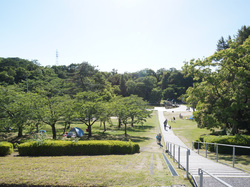 広大な自然公園「太陽が丘」の木製アスレチックが楽しい！！自然いっぱいの森や丘を巡る散策路も豊富。